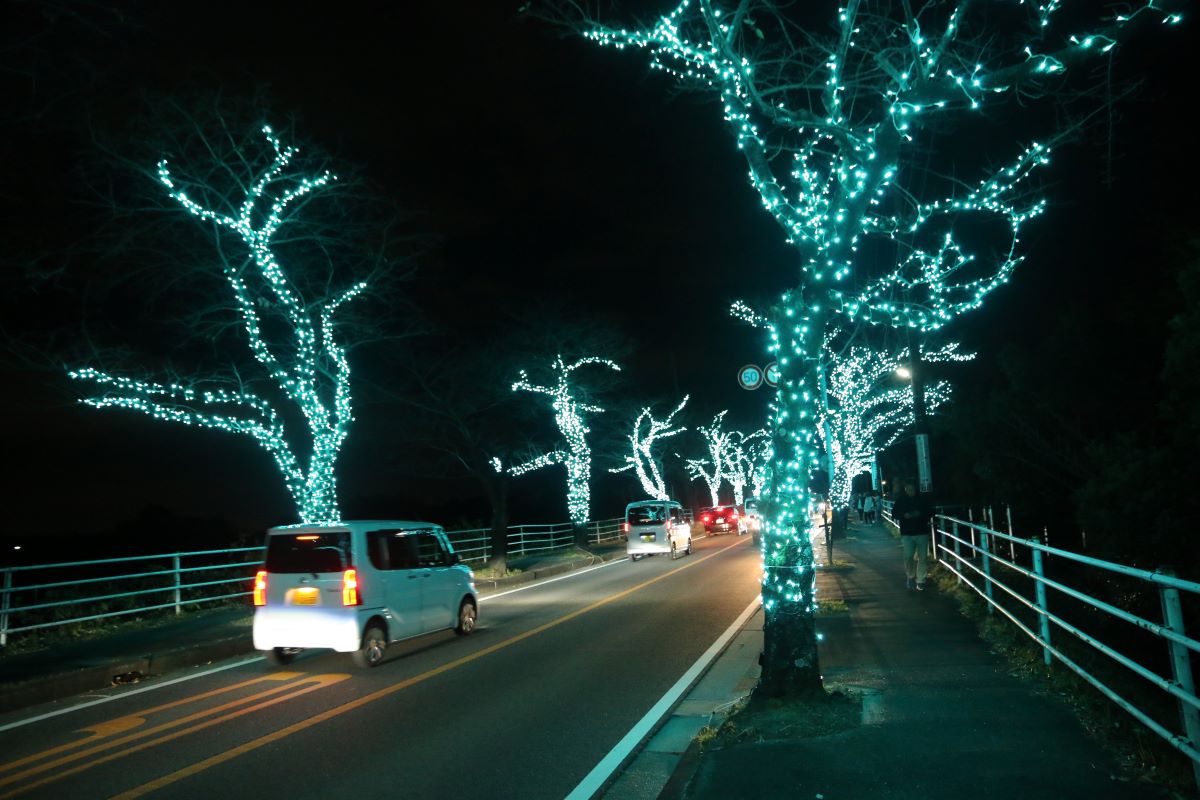 去年よりも輝きがアップ　菰野町でイルミネーション始まる　商工会青年部が主催