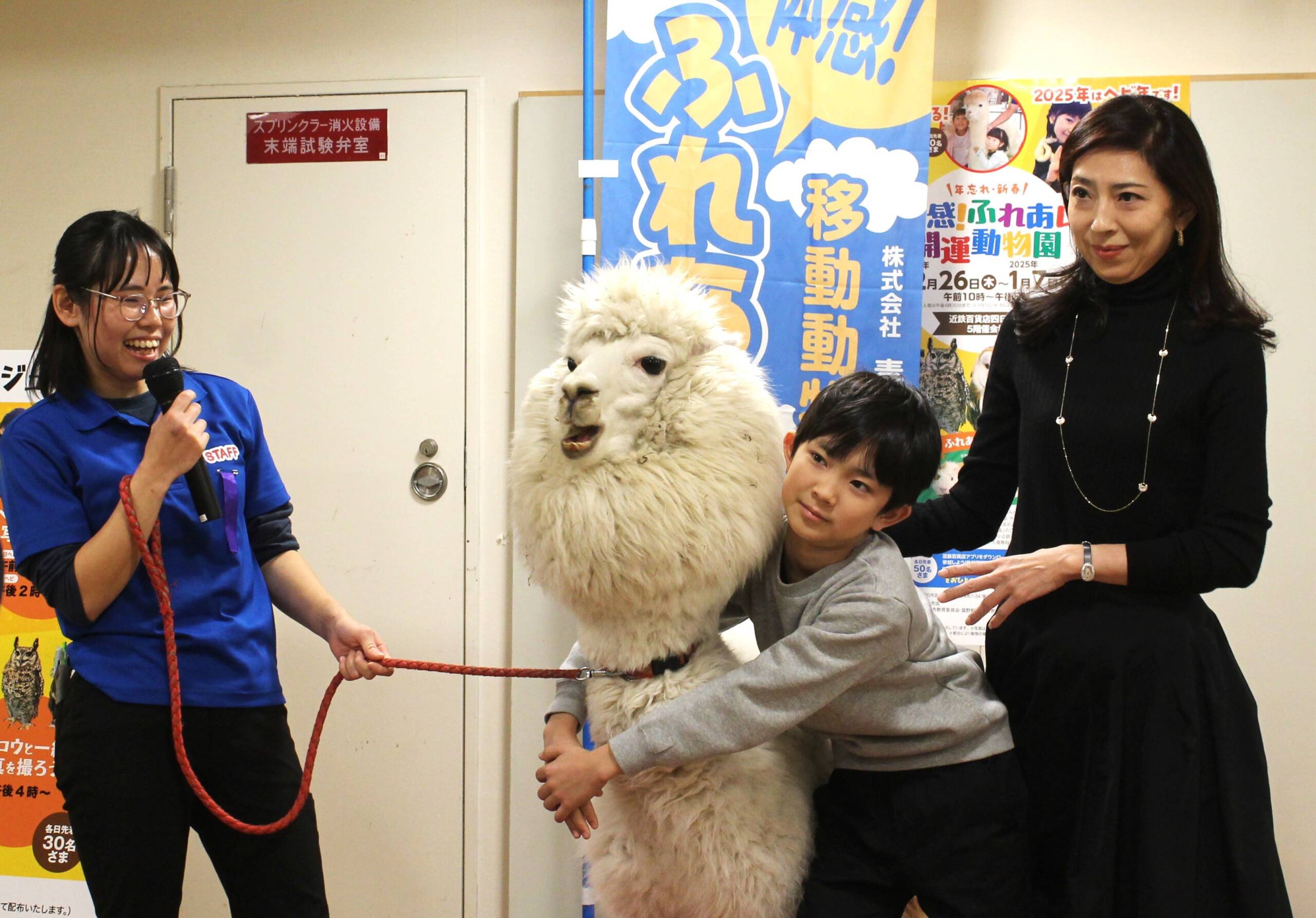 開運の動物が大集合、アルパカ初登場、近鉄百貨店四日市店